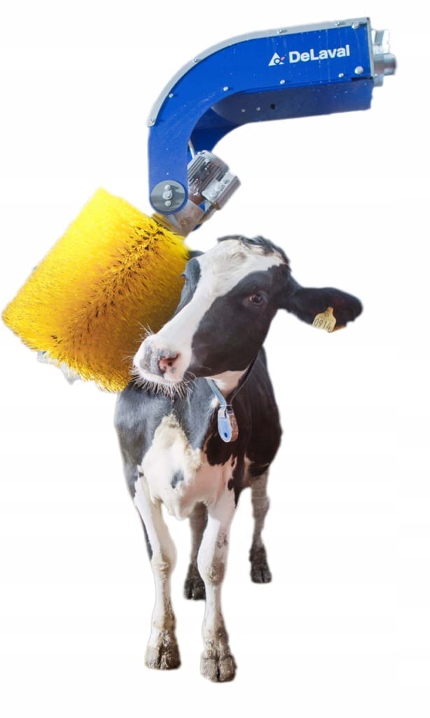 Czochradło dla krów - Aktywne czochradło SCB - 89863516 - 2150015825 - DeLaval SCB 2 Czochradło dla krów - Aktywne czochradło SCB - 89863516 - 2150015825 - DeLaval SCB