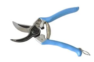 campagnola_dsc0631_p-300×200