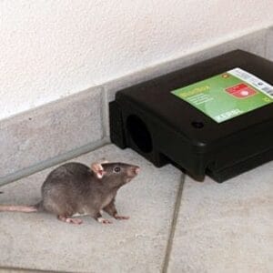 Karmnik deratyzacyjny na myszy - Peti - Kerbl