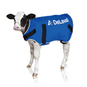 Ocieplacz dla cieląt - DERKA - mały (20-35kg) - 88267302 - DeLaval