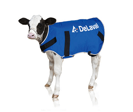 Ocieplacz dla cieląt - DERKA - mały (20-35kg) - 88267302 - DeLaval 1 Ocieplacz dla cieląt - DERKA - mały (20-35kg) - 88267302 - DeLaval