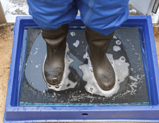 Peradis – Test skuteczności środka w celu dezynfekcji obuwia 48 Peradis – Test skuteczności środka w celu dezynfekcji obuwia 32