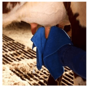 Ręcznik mikrofibra 31x31cm, 12 szt - 92065151 - DeLaval