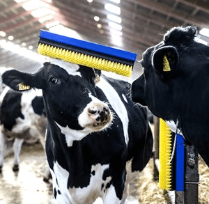 Szczotka stacjonarna SB – 88265780 – DeLaval (1)