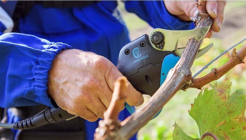 Sekator elektryczny Campagnola Easy S - LN44.0010 - bez baterii 3 Sekator elektryczny Campagnola Easy S - LN44.0010 - bez baterii