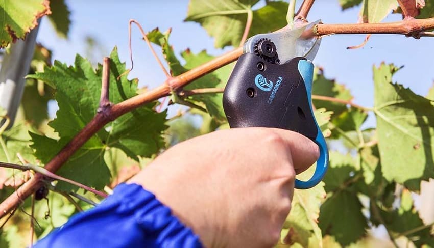 Sekator elektryczny Campagnola Easy S - LN44.0010 - bez baterii 2 Sekator elektryczny Campagnola Easy S - LN44.0010 - bez baterii