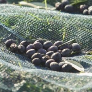 SIATKA DO OLIWEK 6x12 m - RETE.0102 - Campagnola