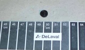 Korek DV - 96550201 - Delaval