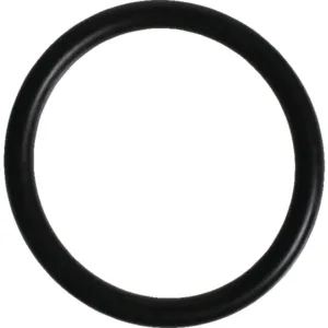 Oring 31.34 x 3.53 - 2.1530.082.0 - SDF